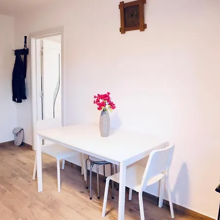 Joy Iasi 10 Apartment *