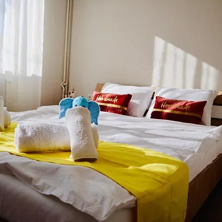 Joy Iasi 10 Apartment
